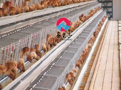 Poultry Farm Equipment Automatic Chicken Layer Cage