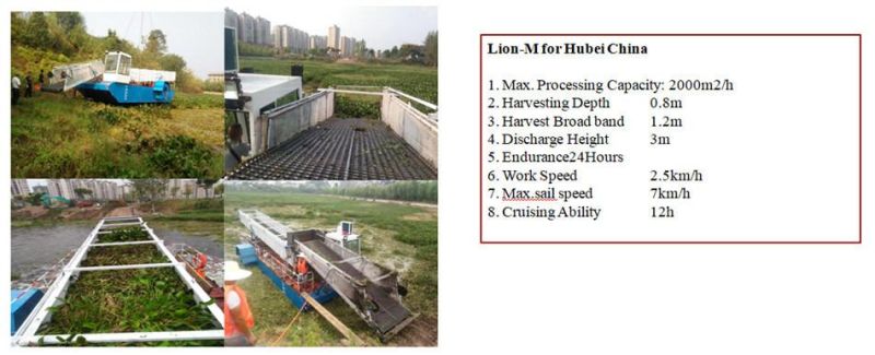 Dam and Lake Cleaning Aquatic Water Weed Machinery Reed Cutting Machine