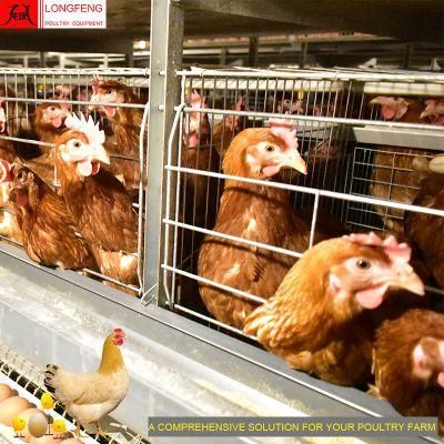 China Local After-Sale Service in Asia Chicken Cage Poultry Farming Equipment
