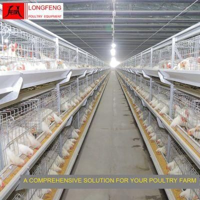 High Density Poultry Farm Equipment Broiler Chicken Cage with on-Site Installation Instruction