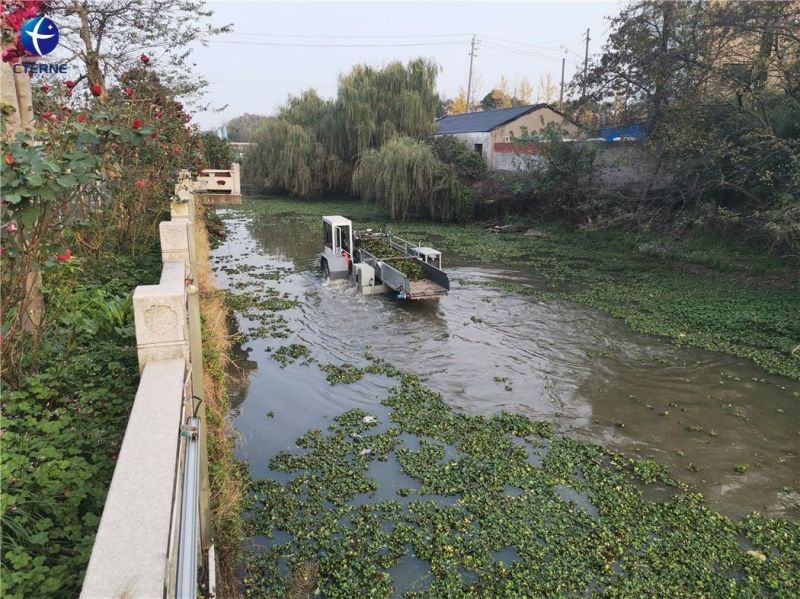 Reed Harvesting Machine Surface Floating Grass Plant Harvester