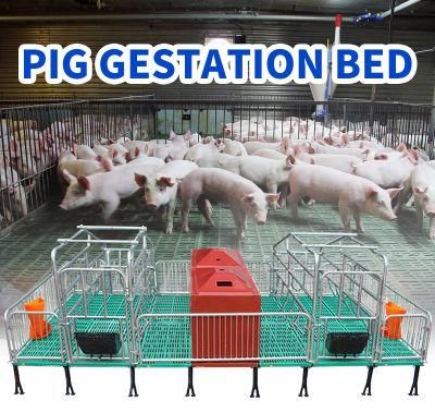 Pig Gestation Equipment