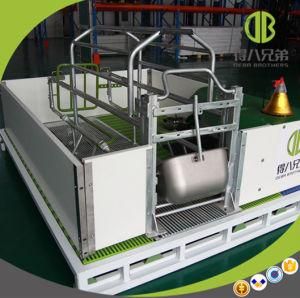 Farrowing Crate for Sow Agricultural Equipment for Pig