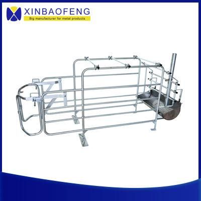Pig Farm Equipment Pig Pen Gestation Pen Stall