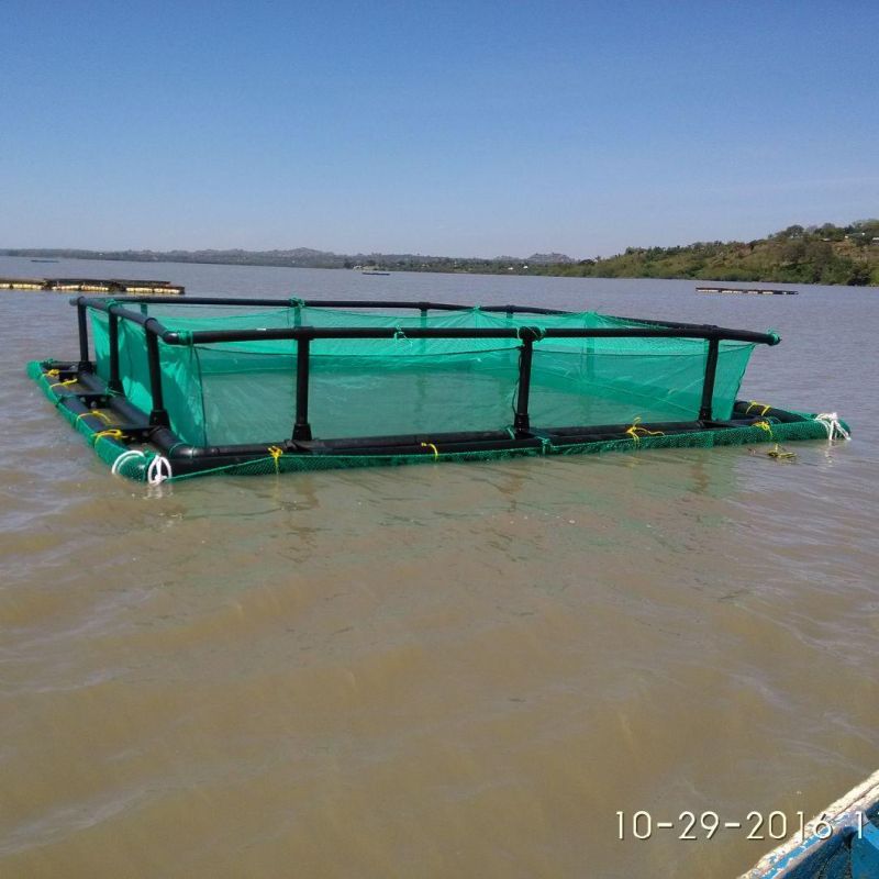 Square HDPE Tilapia Fish Farming Cages Farming Net Cage