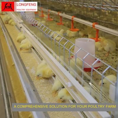 Customized Longfeng Standard Packing House Broiler Chicken Cage for Laying Hens/Layers/Egg