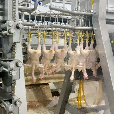 100-1000bph Automatic Chicken Butchery Slaughter Processing Machines Equipments Plant