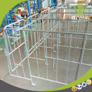 Wholesale Steel Gestation Crate for Individual Sow Pen Factory for Sale