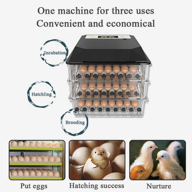 CE Automatic Egg Incubator Poultry Farms Equipment Chicks Egg Incubator