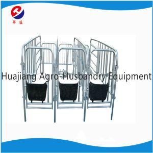 Pig Gestation Stall/Limit Crates/Pig Cage for Sale Durable with New Design