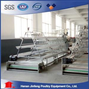 Automatic Poultry Farming Equipment Egg Chicken Cages Animal Cage