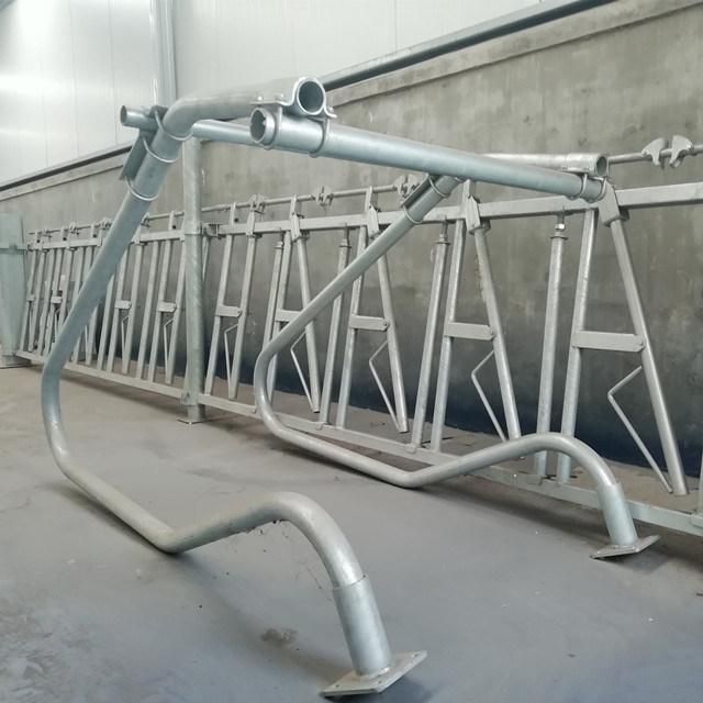 Hot DIP Galvanized Dairy Cow Comfortable Stalls Cow Cubicles for Sale