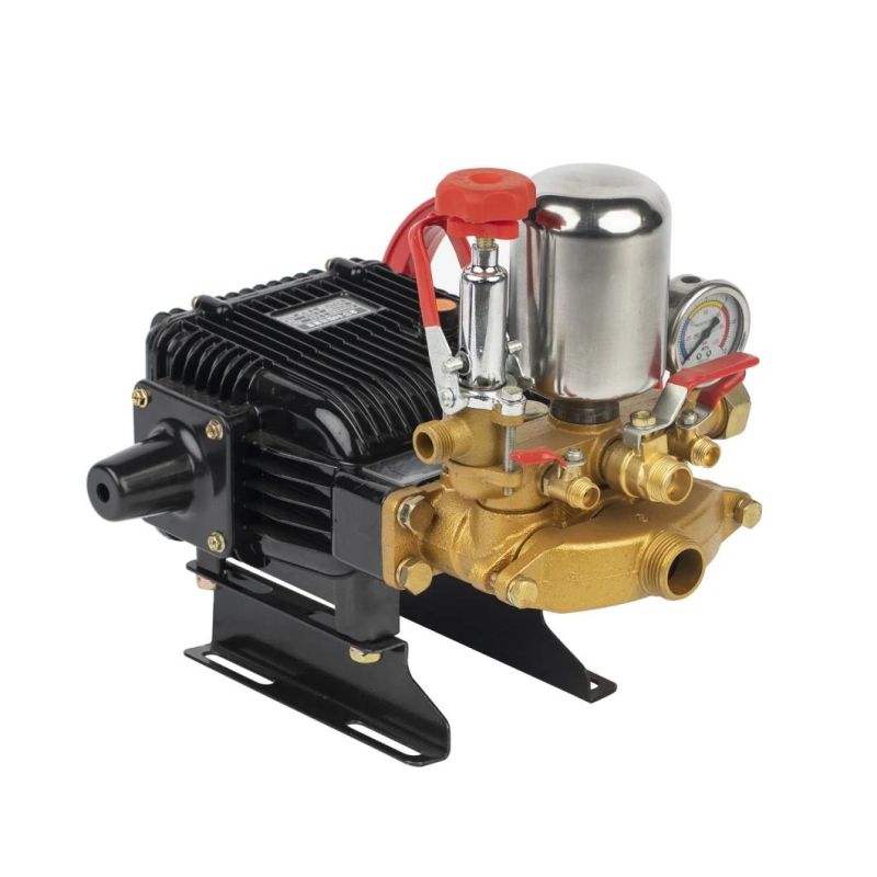 Gasoline Plunger Pump Farm Power Sprayer Sprayer Pump
