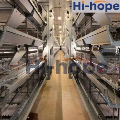 Automatic H Frame Poultry Cages for Professional &amp; Economic Egg Production