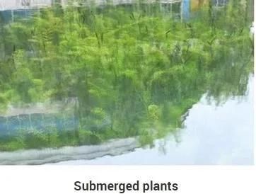 Floating Garbage Collecting Boat Aquatic Grass Harvester
