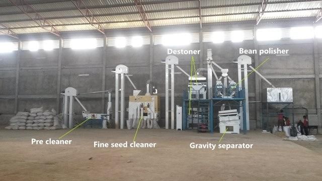 Paddy Rice Wheat Oats Seed Cleaning and Processing Plant
