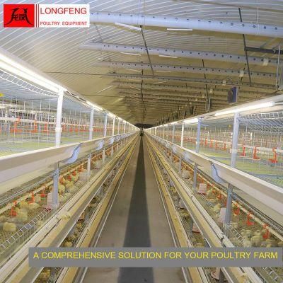 Customized Reliable and Safety Longfeng Egg Incubator Broiler Chicken Cage