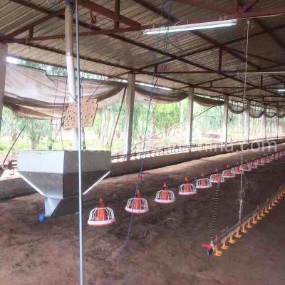 Automatic Control Chicken/Poultry/ Broiler Farm for Chicken Shed