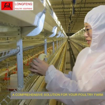 Longfeng Standard Packing Poultry Equipment Broiler Chicken Cage with Better Ventilation