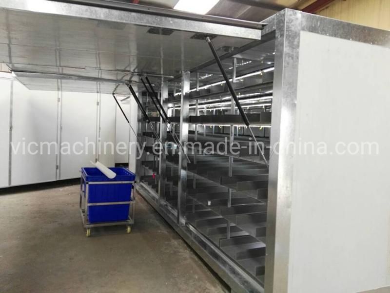 500kg/d Hydroponic Fodder Machine With Growth Light