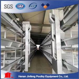Jinfeng H Type Chicken Cage System for Poultry Farm Broiler/ Layer Battery Cage Birds Cage with Automatic Machine