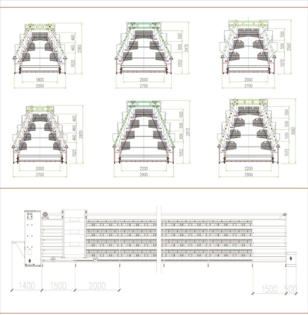 The Most Cost-Effective Chicken Cage Breeding Equipment