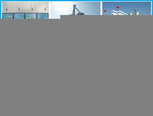 High Productivity Double Shaft Eel Fish Feed Mixer for Sale