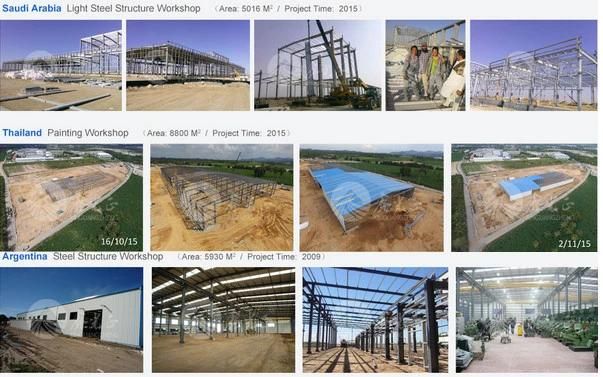 Coat Steel Structure Building Warehouse