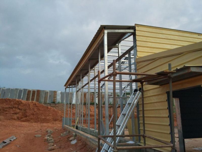 Steel Structure Layer Chicken House with Equipment