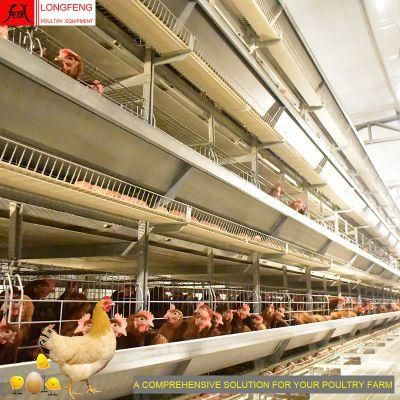 1 Year Warranty Chicken Farm Layer Poultry Equipment Cage with High Quality