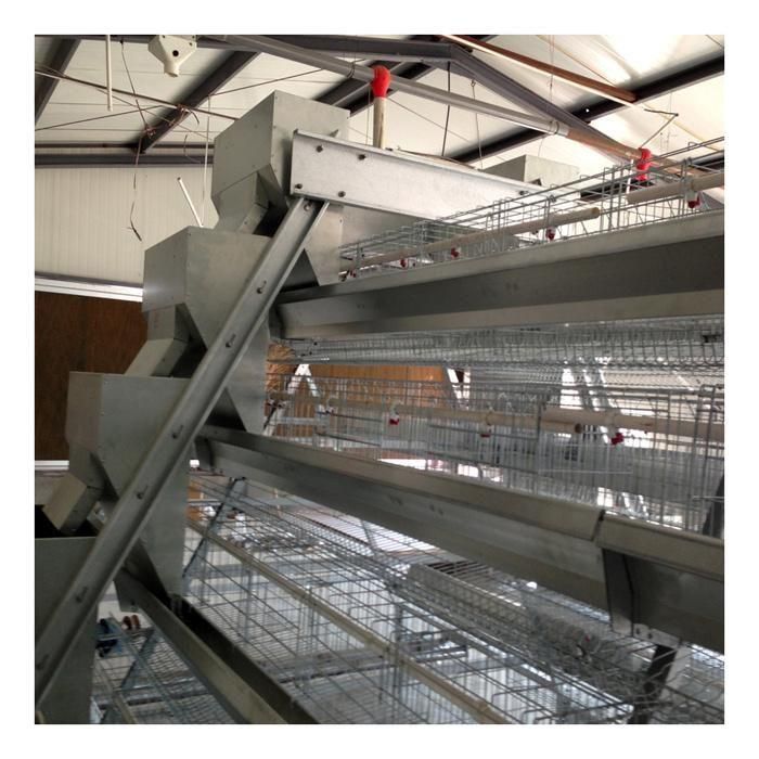 3 Tiers a-Frame Complete Auto Layer Chicken Cage System with Auto Manure Removal System