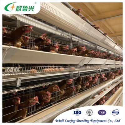 Large-Scale Poultry Farm Equipment Automatic Feeding Drinking System Battery Layer Cages for Sale
