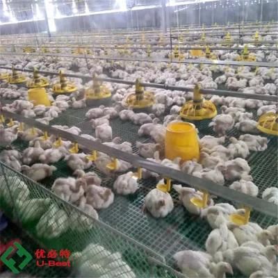 Automatic Chicken Drinker Equipment for Poultry Farm