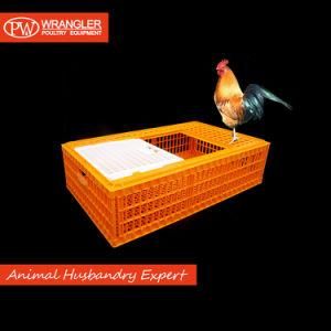 Turnover Plastic Poultry Cage Box / Chickens Cages to Transport