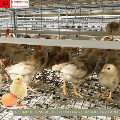 Mature Design Professional Poultry Farm Cages Pullet Layer Chicken Cage