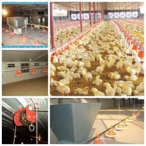 Full Set Poultry Equipment with Prefab Poultry Shed for One Stop Service