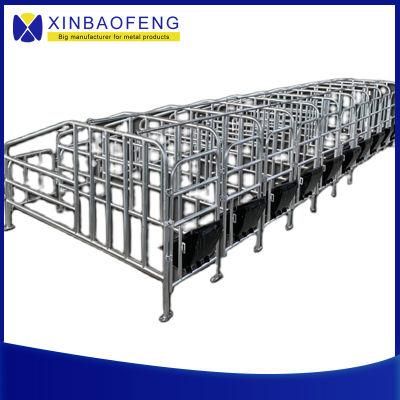 Complete Pig Pens for Gestation Boxes on Pig Farms