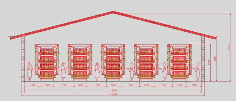 100000 Automatic H Type Laying Hens Galvanize Wire Chicken Layer Cage