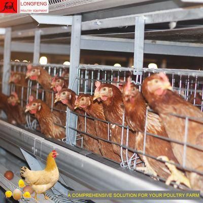 H Type Layer Chicken Battery Cage for Poultry Farming Equipment in Chicken Coop