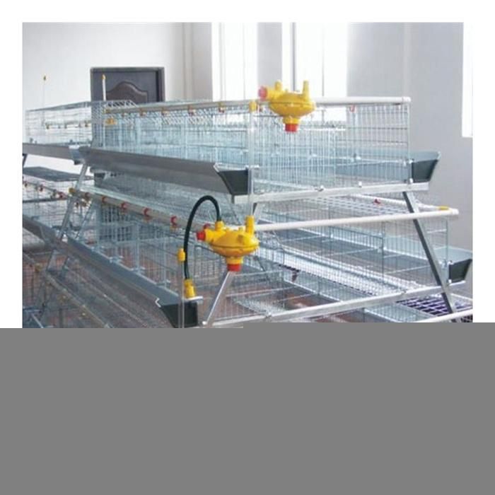 Best Price Chicken Layer Cage / Poultry Cage / Hot Selling Chicken Cages