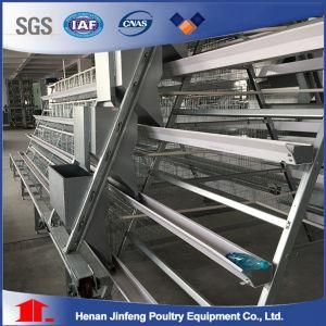 Automatic Poultry Farm Equipment Battery Egg Layer Chicken Cage for Laying Hens