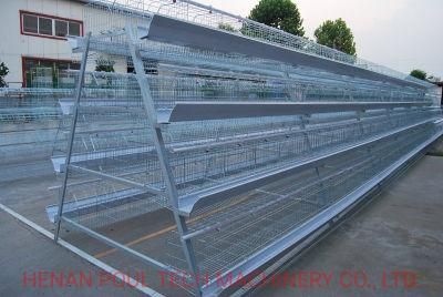 Hot Sale Layer, Broiler, Pullet Chicken Cage Equipment for Chicken House