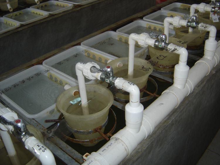 Pisciculture Incubation Pot Aquaculture Fish Hatchery Process Hatchery Device Equipment Supplies