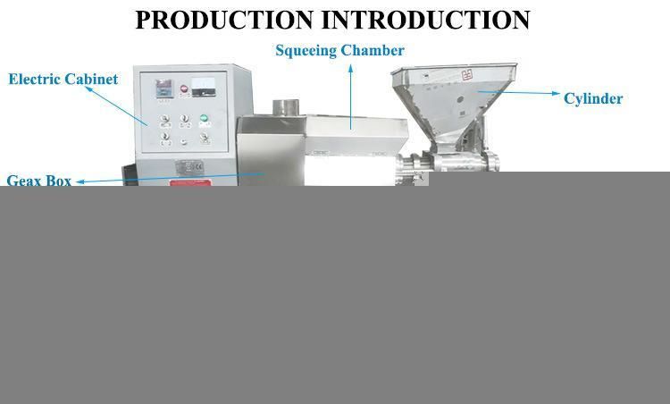 Hot Sale Commercial Industrial Cold Pressed Press with Filter Oil Expeller Hl-80A