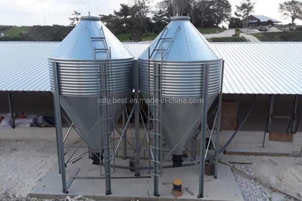 Automatic Chicken Poultry Farm Equipment for Sale in Sri Lanka Algeria and South Africa