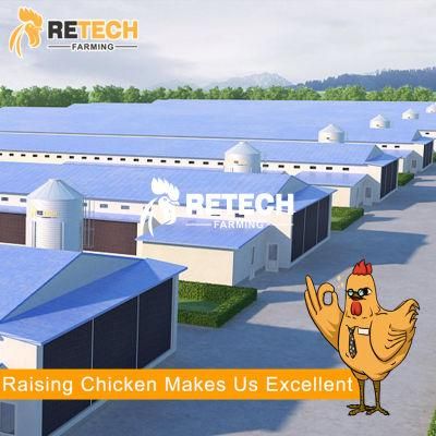 Automatic broiler chicken poultry farm equipment with automatic feeding system