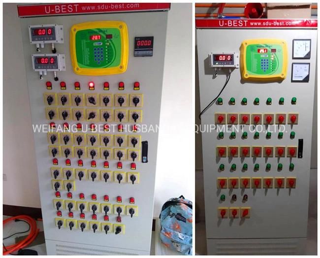 2021 Hot Sale Low Price Automatic Broiler Feed Equipment on Poultry Farm