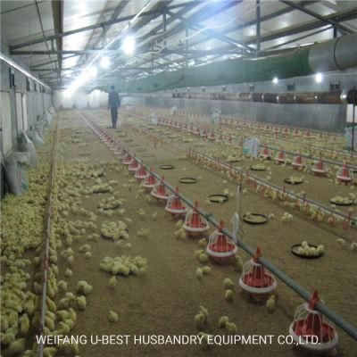 Chicken Farm Business Plan Poultry Farms of Germany