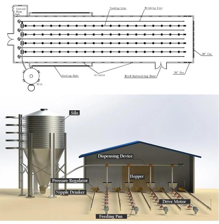 Ground Poultry Raising Equipment for Chicken Broiler