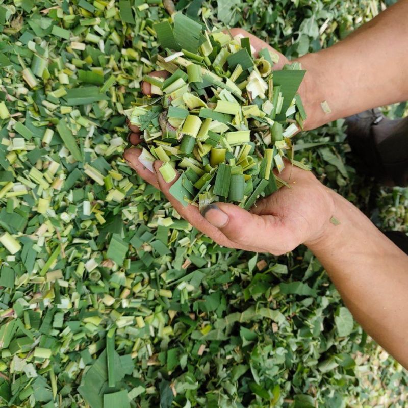 Technical Manufacturing Portable Type Economical Crop Cutter with Quality Assurance